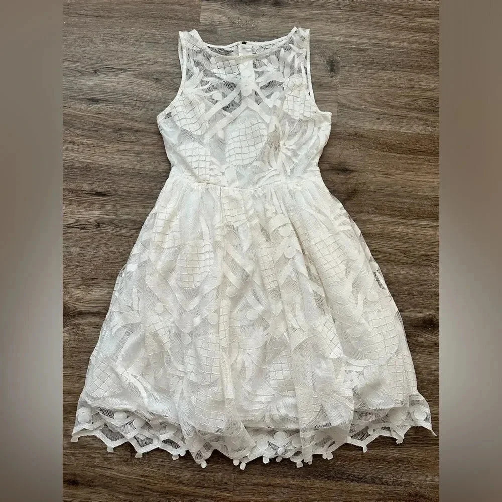 Maeve Anthropologie Pina Pineapple Lace Fit & Flare Dress Sz 4 White Sleeveless - Picture 1 of 9